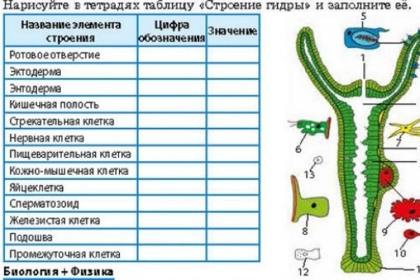 Кракен сыл ссылка